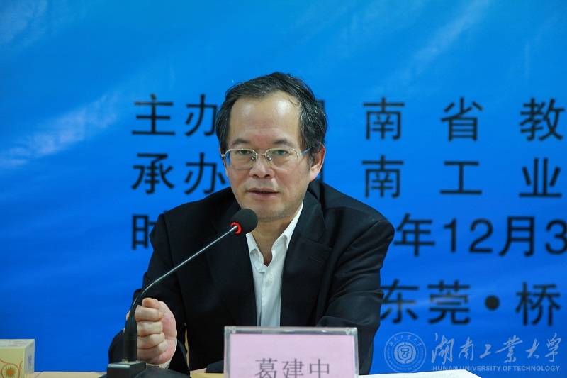 省教育厅长葛建中作总结发言 推广德赢东莞模式（欧阳池建 摄）