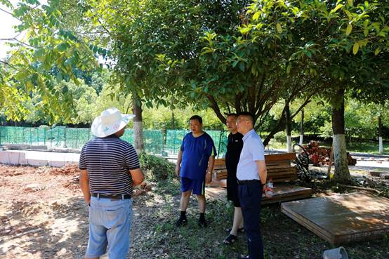 一些人站在树下描述已自动生成